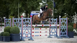 Dalina van het Grenshof Z was gisteren ook al goed voor winst