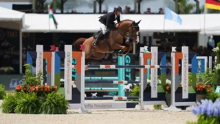 Royal Red van het Lindehof naar winst in 1m45 van Oliva
