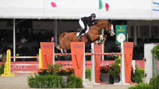 Emerald-zoon Mochito vd Mishagen pakt overwinning