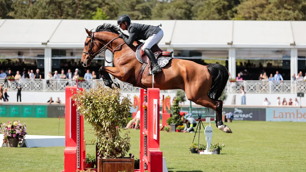 Julien Epaillard a décroché son premier titre de champion de France en révélant l'exceptionnel Hard'Rock Queen HJD aux yeux du grand public.