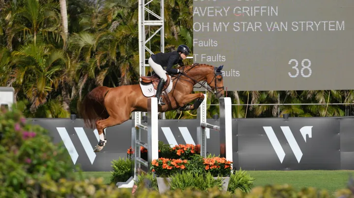 BWP-ruin Oh My Star Van Strijtem springt naar vijfde plaats in 1m50 GP Thermal