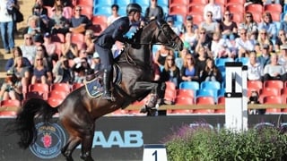 Ancien performeur international sous la selle de Luca Marziani, Tokyo du Soleil, ici aux championnats d'Europe Longines de Göteborg, est récemment revenu en France pour être consacré à l'élevage. 