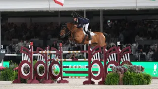 McLain Ward et High Star Hero ont remporté le Grand Prix 5* de Tryon hier soir.