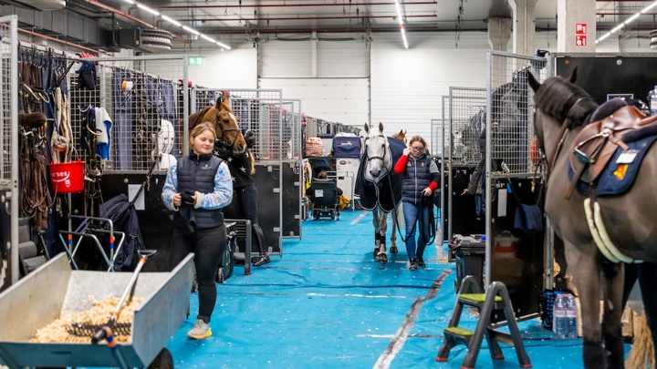 Les concours indoor sont souvent les plus éprouvants pour les grooms en raison de leurs amplitudes horaires. 