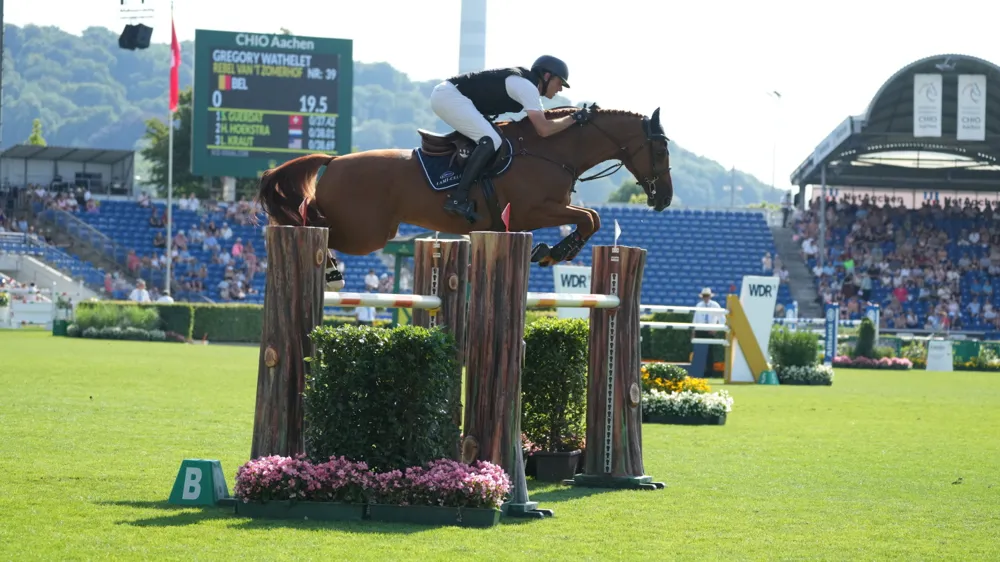 BWP'er Rebel van 't Zomerhof wint 1m45 in Valkenswaard