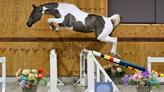 Online bieden kan vanaf 31 januari