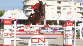 Ludger Beerbaum et Goldfever ont évolué ensemble durant onze saisons. 