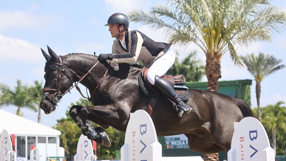 Nicola Philippaerts et le très bien né Derby de Riverland se sont offert une nouvelle victoire, la première dans un Grand Prix international, lors du CSI 4* d’Opglabbeek. (photo d'archives)