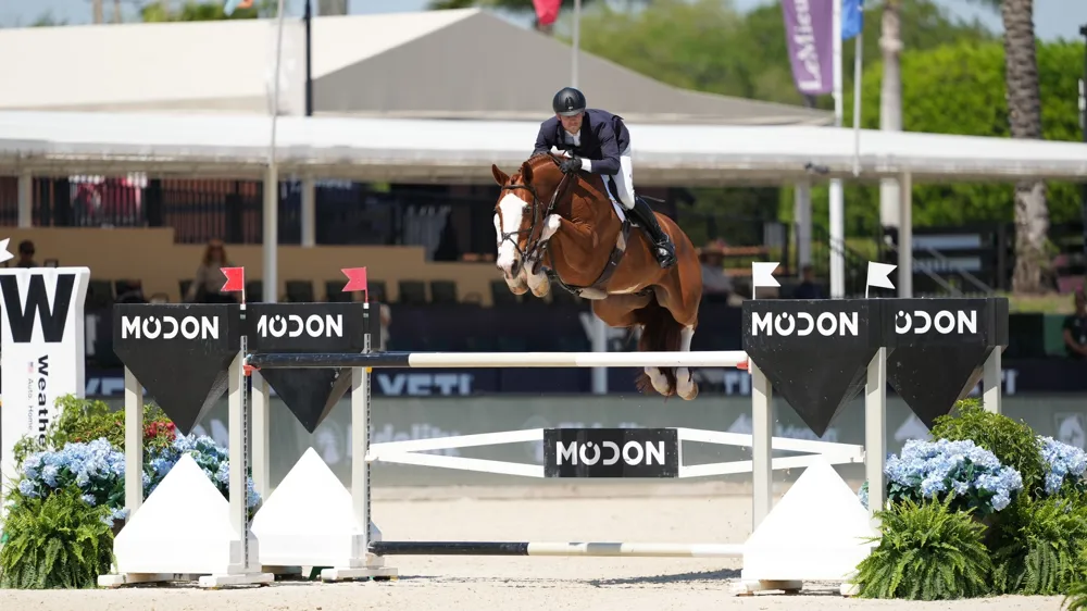 Comptant parmi les nombreux fruits du croisement entre Kannan et une fille de Diamant de Semilly, Junior Kannan a remporté sa première épreuve internationale avec Alex Matz à Wellington.