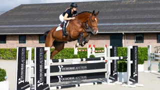 Paquidora vd Reestershof