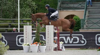 Bart Jay Junior Vandecasteele schittert met tweede plaats in Longines rankingproef van Oliva
