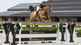 De internationaal op 1.50m-niveau ervaren Fondan de Caverie (Ogrion des Champs x Qredo de Paulstra) werd voor 105.000 euro verkocht aan kopers uit Turkije