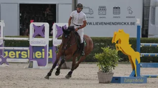 Thor Davidshof Z bezorgt Nick Bossaerts Belgische titel in Gesves