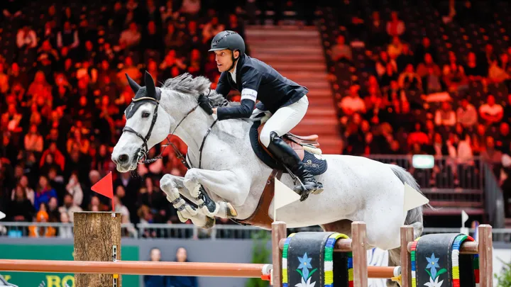 Classée dans deux Grands Prix Coupe du monde avec Henrik von Eckermann en début d'années, Azaria Dinero va désormais se consacrer à la reproduction en Italie.