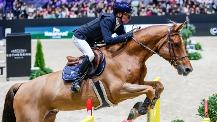 Avec Calasto, Michel Robert a de nouveau pris part à des épreuves 5* à Lyon, quatre ans après sa dernière apparition à ce niveau.