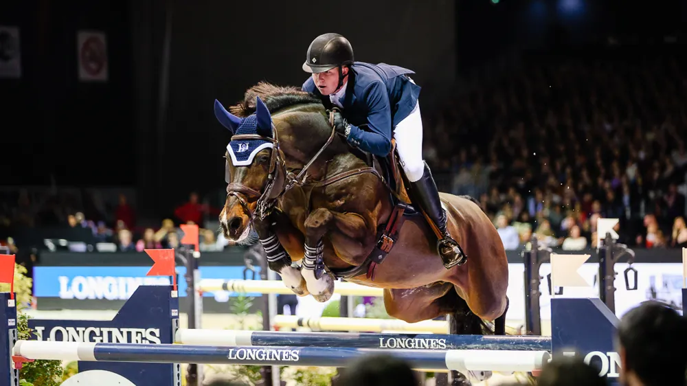 L'attachant Cornet's Balou, alias Balou du Reventon, fera la monte en frais en Belgique en 2026.