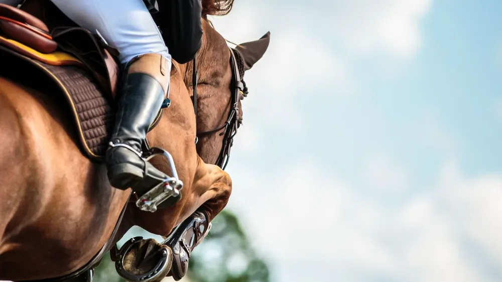 Sous l’impulsion de la FFE, Léa Lansade a participé à une étude sur la notion de bien-être des chevaux athlètes.