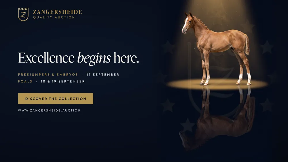 Zangersheide Quality Auction