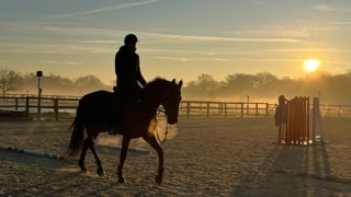 Haras de Jardy