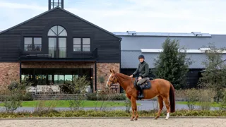 Ici sur le dos de son crack King Edward, Henrik von Eckermann vit une période de transition depuis plus d’un an.