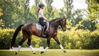Une formation d’excellence, complète et tournée vers l’international, pour construire son avenir dans la filière équestre.