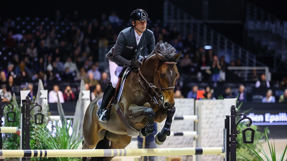 Julien Epaillard et Donatello d'Auge à Bordeaux