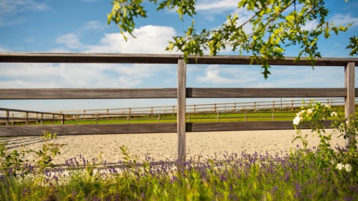 Sécurité autour des carrières : De Sutter Naturally mise sur des lices aux douces rondeurs avec la clôture Square Safety