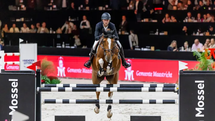 Mais quelle année pour la brillante Qalista DN, neuf ans seulement ! 