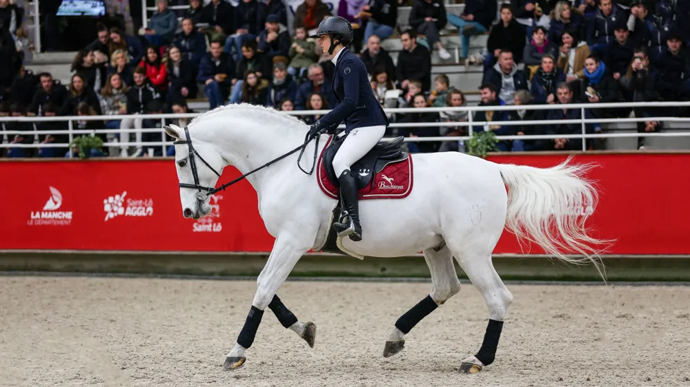 En 2023 et 2024, Cap Kennedy s'était présenté en pleine forme face aux éleveurs, lors du salon des étalons de Saint-Lô.