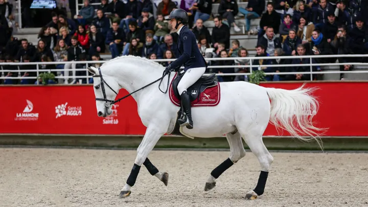En 2023 et 2024, Cap Kennedy s'était présenté en pleine forme face aux éleveurs, lors du salon des étalons de Saint-Lô.