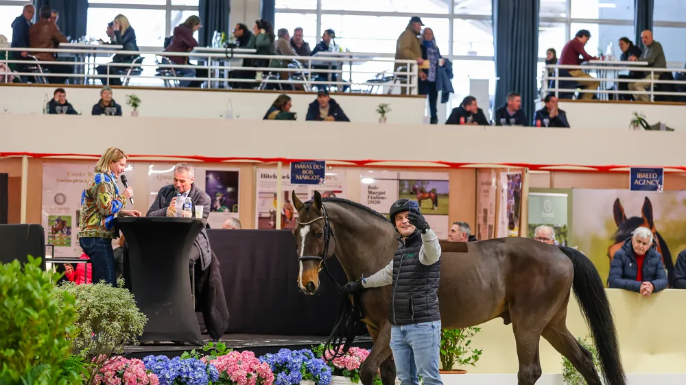 Dans la bonne humeur et l'échange, le salon des étalons de sport de Saint-Lô a une nouvelle fois attiré les foules et ravi les éleveurs.