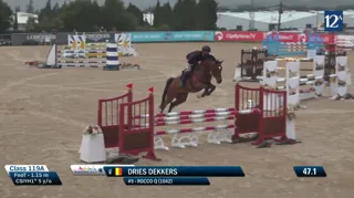 Sunshine Tour-sensatie Rocco Q klaar voor Belgisch fokkerijseizoen