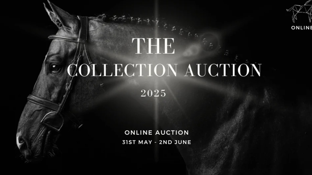The Collection Auction