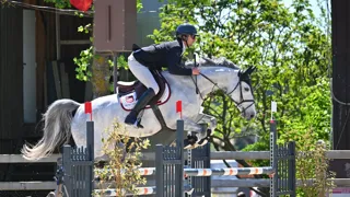 Créditée d’un taux de sans-faute de 100 % à quatre ans et 94,74 % à cinq ans, Aloha Cak fait partie des juments les plus régulières de sa génération