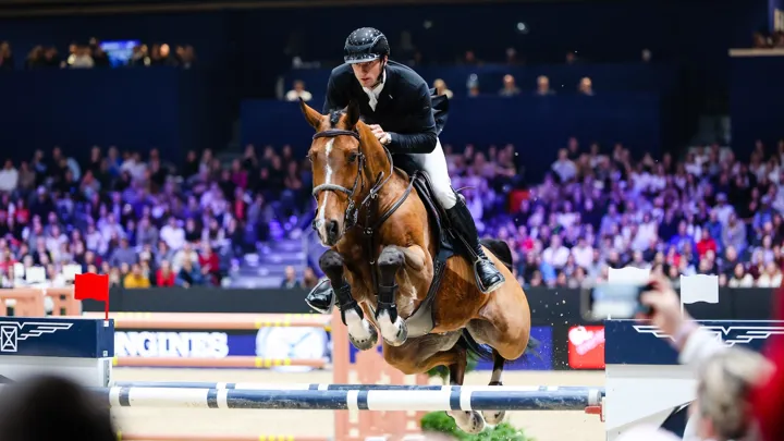Le 31 octobre, Gangster Montdésir et Richard Vogel ont remporté le Grand Prix Longines du CSI 5*-W d’Equita Lyon, la première épreuve à 1,60m du bai.