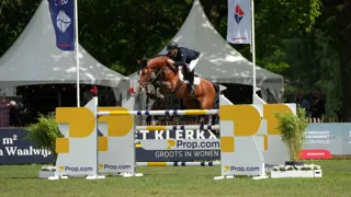 Winst voor Brecht Goossens en Alaska Z