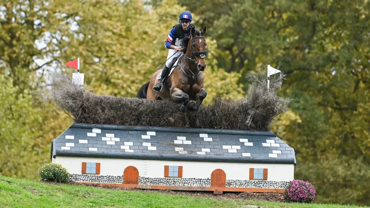 Pour son avenir sportif, Benjamin Massié peut notamment compter sur Indigogrey Savigny, quatrième du Mondial des sept ans l’an passé au Lion-d’Angers.