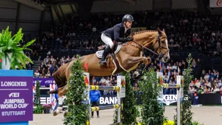 Ici à Stuttgart, Pretty Woman van’t Paradijs a remporté coup sur coup deux étapes de la Coupe du monde Longines en fin d’année 2025. 