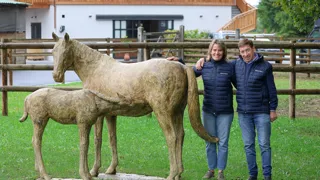 Nicola Mordasini et Rémy Richard ont fondé le haras de Bossy, niché au pied des montagnes alpines, en 2020.