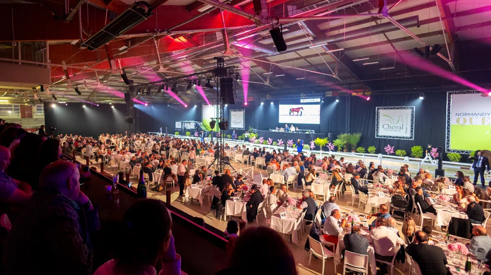 Une collection d’élite et un nouveau format de présentation pour une édition 2026 inédite de la Normandy Queens Auction.