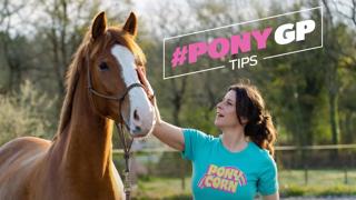 Découvrez notre nouvelle émission PonyGP Tips sur GRANDPRIX.tv !