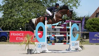 Mélanie Cloarec et Forever Diamond Epona s'imposent dans le Grand Prix du Grand National de Notre-Dame-d’Estrées 