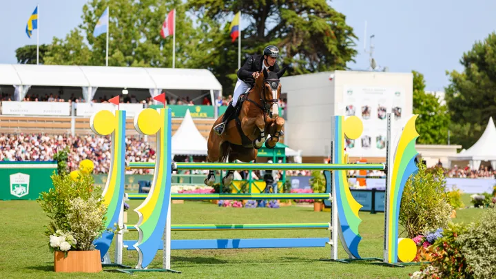 Levi Noesar a rejoint la bannière chilienne, au détriment de la Mannschaft et de Richard Vogel.