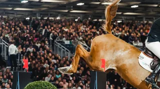 Le Salon du Cheval de Paris 2026, qui se tiendra du 4 au 6 décembre à la Porte de Versailles, proposera trois jours de sport avec le retour du Jumping International (140 cavaliers, 250 chevaux), deux soirées d'exception (la Nuit du Cheval avec Jean-François Pignon et la Nuit du Complet by Forestier), ainsi que près de 200 exposants et animations pour toute la famille et les professionnels de la filière équestre.