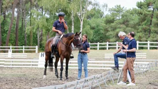 Astier Nicolas en selle sur ALERTAMALIB'OR lors du stage de préparation à Saumur.