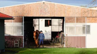 Depuis trente ans, Mickaël Varliaud développe à Alloué un modèle intégrant élevage, valorisation et commercialisation de chevaux de sport.