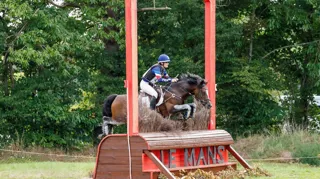 Meilleur produit du haras du Verdon, Boston du Verdon a conclu sa carrière à haut niveau l’an dernier en repartant des championnats d’Europe Poneys du Mans avec deux médailles d’or sous la selle d’Ella Rinaldi.
