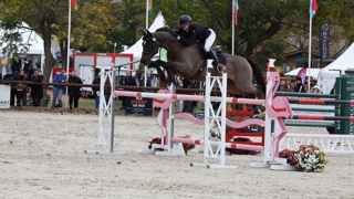 Julie Simonet et Sursumcord'Or pendant l'épreuve de saut d'obstacles du CCI 4*-S de Pouget.