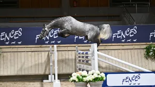 Savona van de Hagenhorst, top price de cette 5e édition, adjugée 52 000€