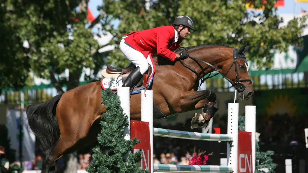 Vainqueur de la finale de la Coupe du monde en 2007 avec Baet Mändli, Ideo du Thot s'en est allé à l'aube de son trentième anniversaire.
